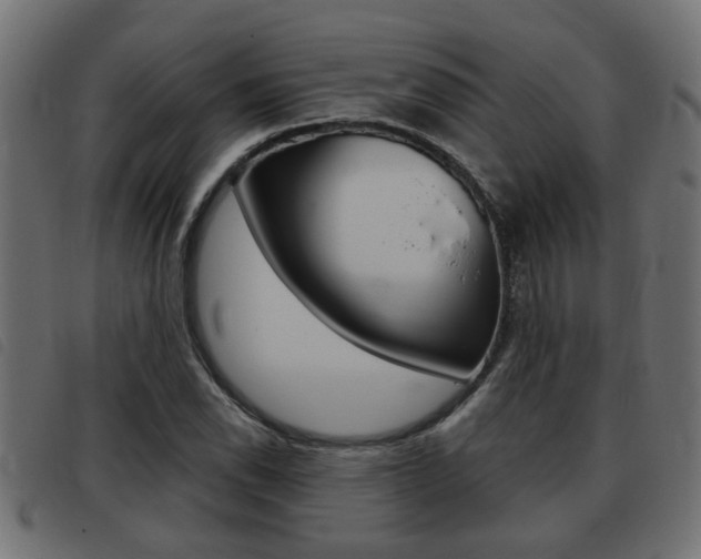 X0000093421118200710120851