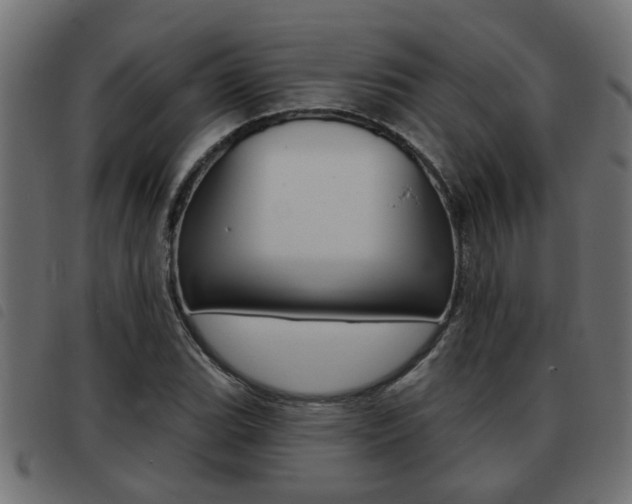 X0000093421119200710120851