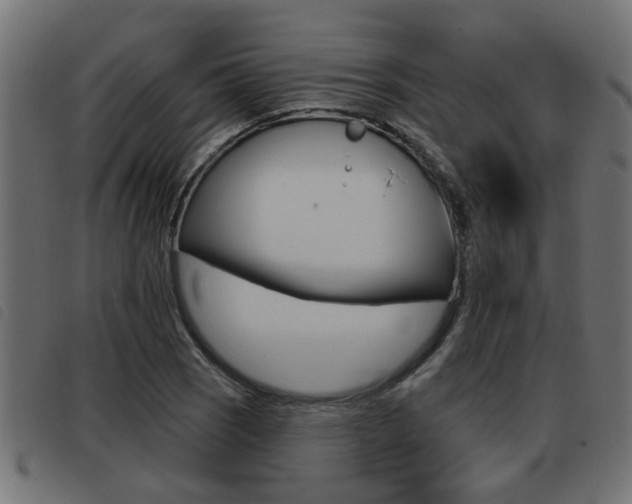 X0000093421121200710120851