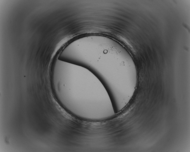 X0000093421122200710120851