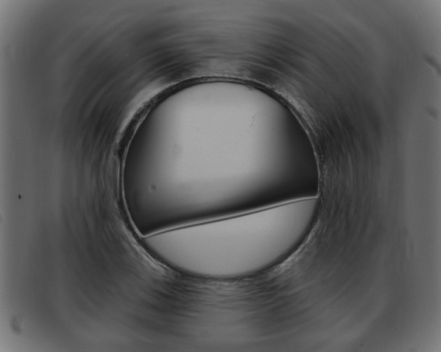 X0000093421123200710120851