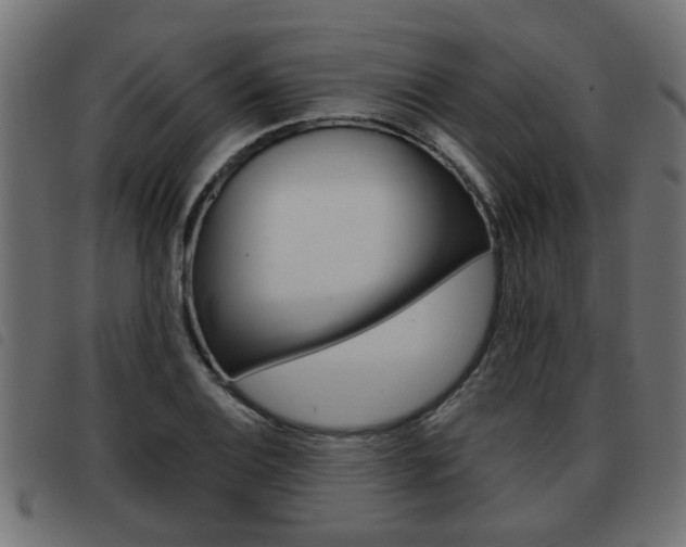 X0000093421124200710120851