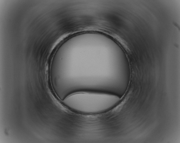 X0000093421126200710120851