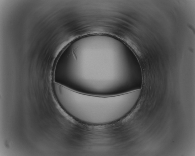 X0000093421134200710120851