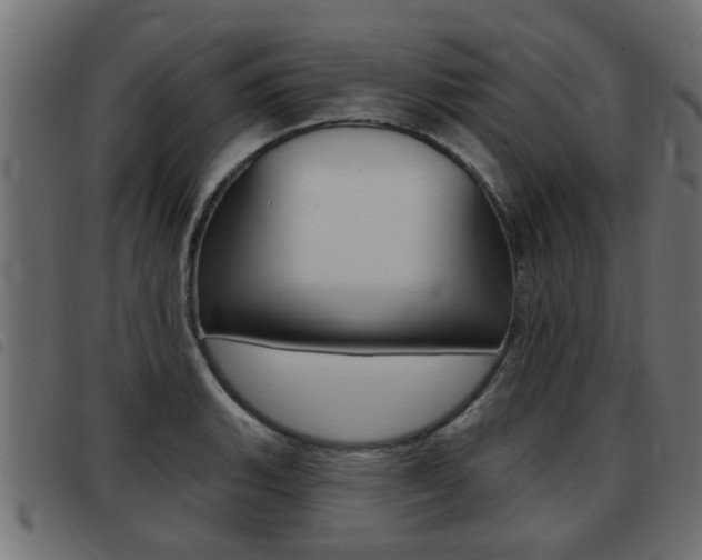 X0000093421135200710120851