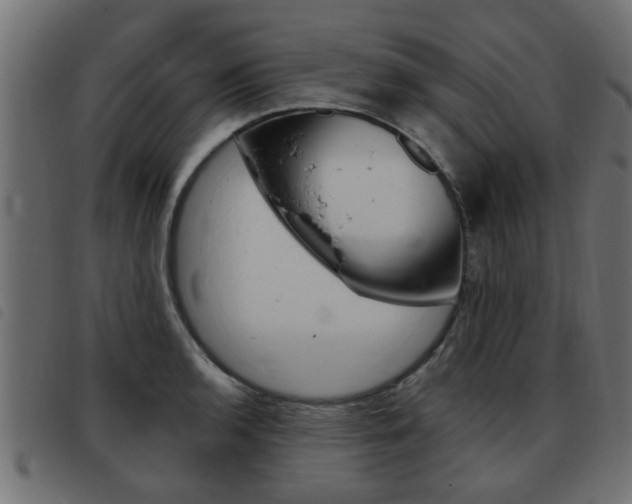 X0000093421136200710120851