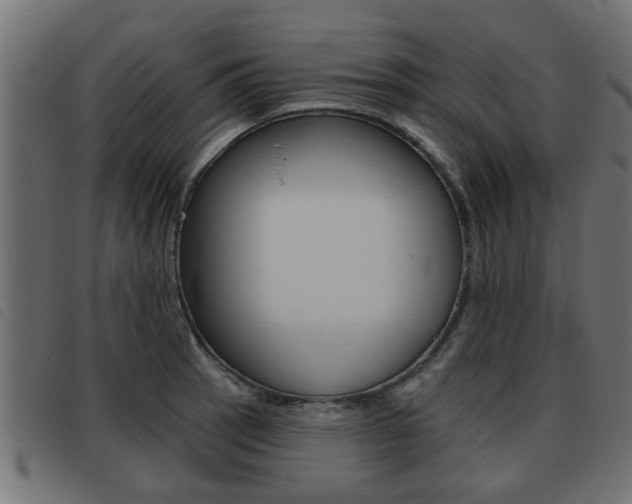 X0000093421137200710120851