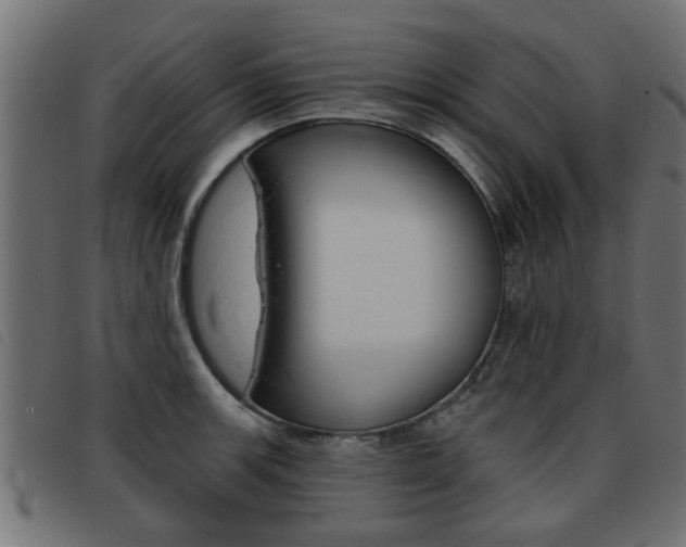 X0000093421139200710120851
