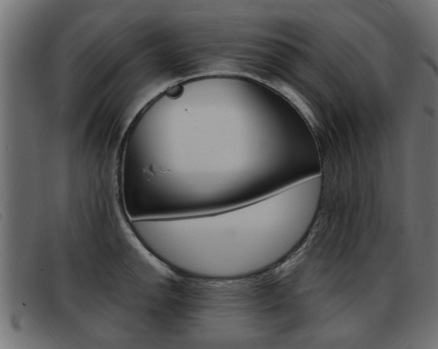 X0000093421142200710120851