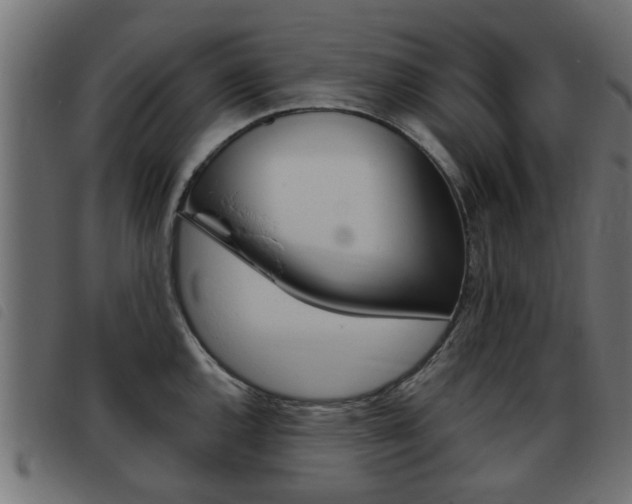 X0000093421144200710120851