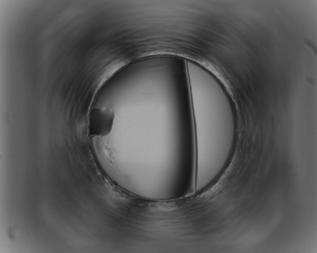 X0000093421145200710120851