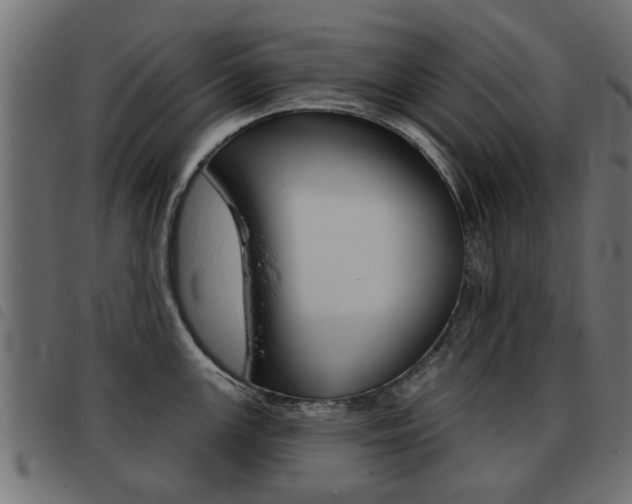 X0000093421147200710120851