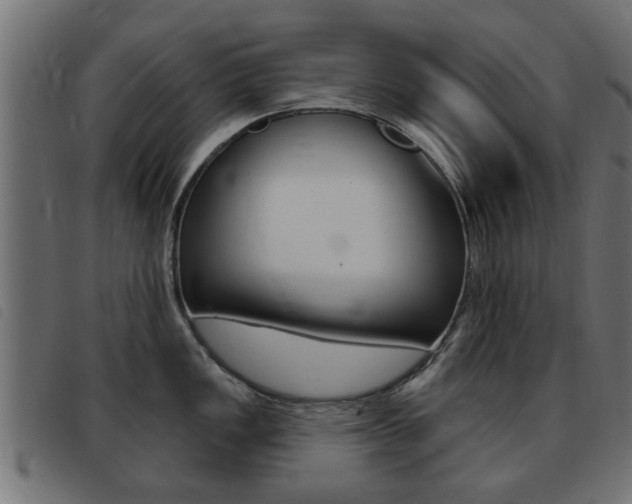 X0000093421149200710120851