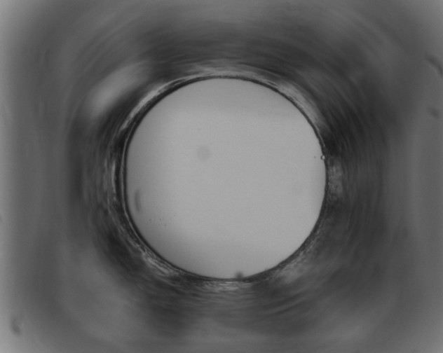 X0000093421150200710120851
