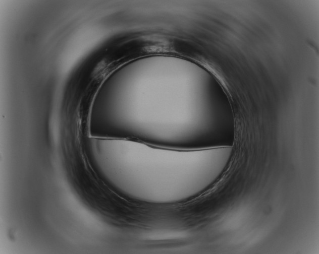 X0000093421151200710120851