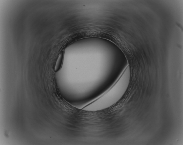 X0000093421153200710120851