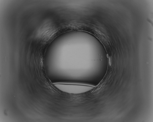 X0000093421155200710120851