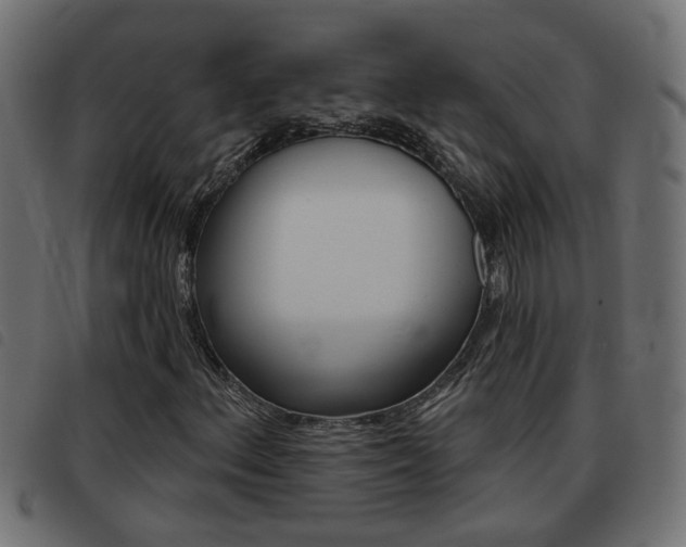 X0000093421156200710120851