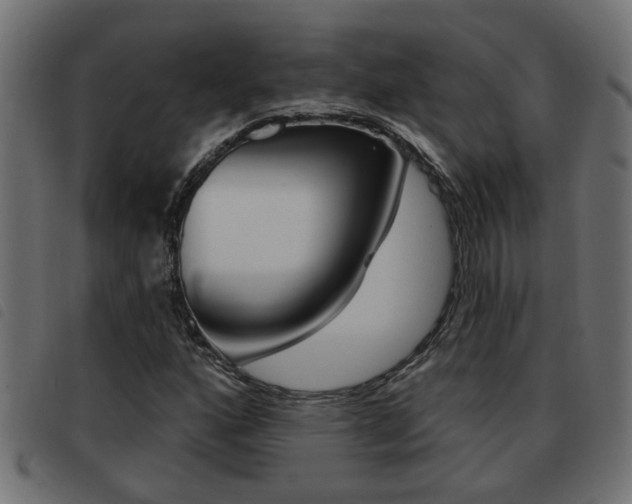 X0000093421160200710120850