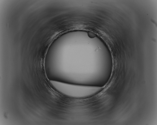 X0000093421161200710120850