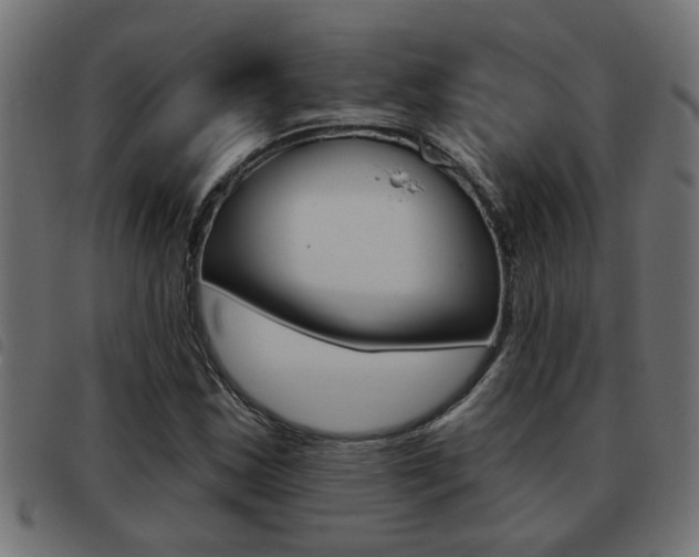X0000093421163200710120850