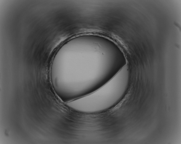 X0000093421165200710120850