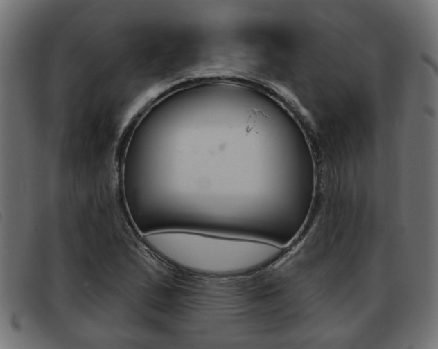 X0000093421167200710120850