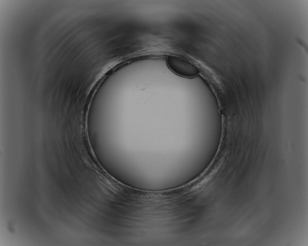 X0000093421170200710120850
