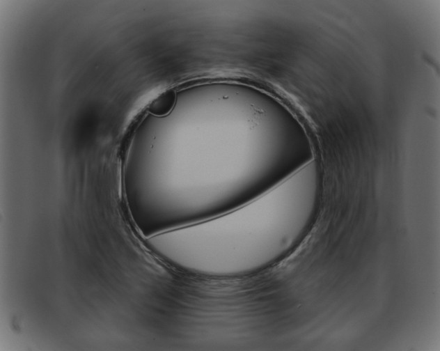 X0000093421171200710120850
