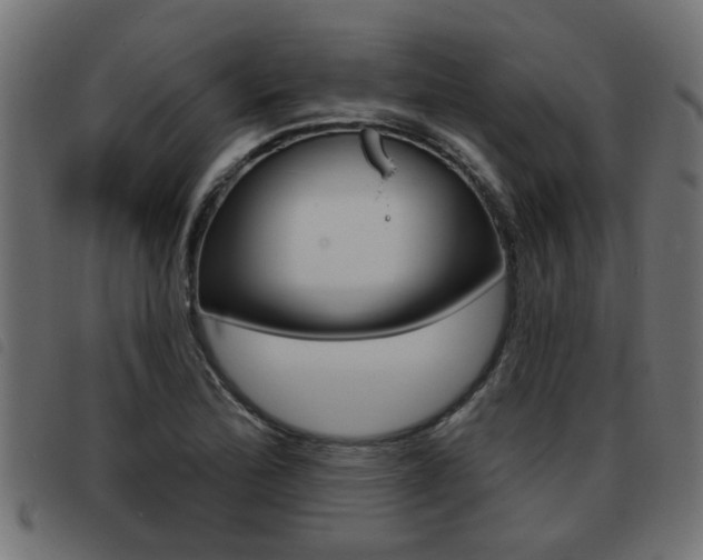 X0000093421172200710120850