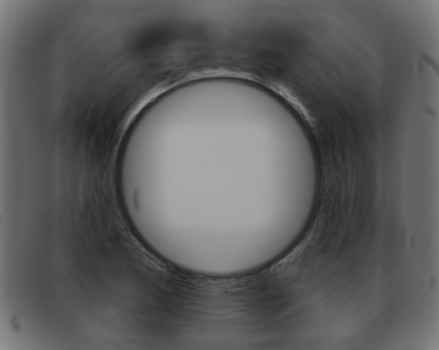 X0000093421173200710120850