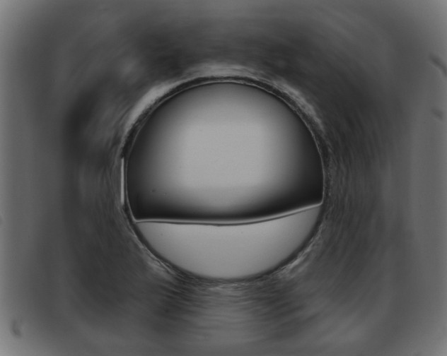 X0000093421175200710120850