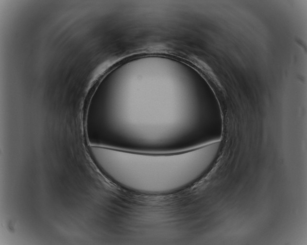 X0000093421176200710120850