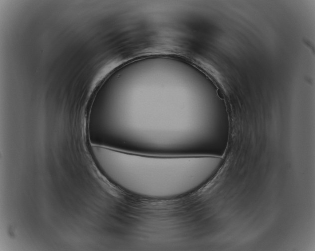 X0000093421179200710120850