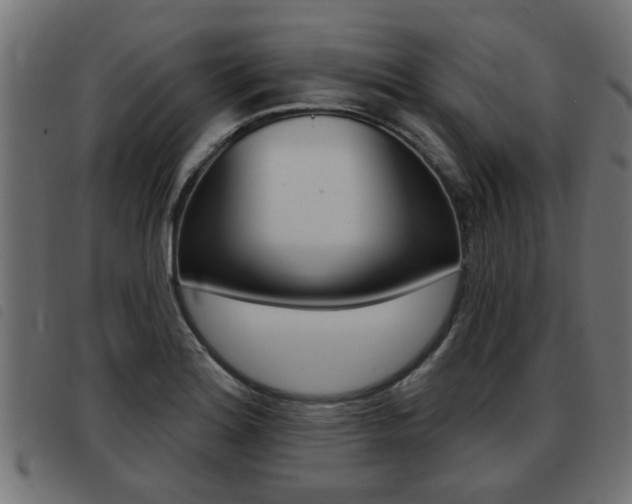 X0000093421180200710120850