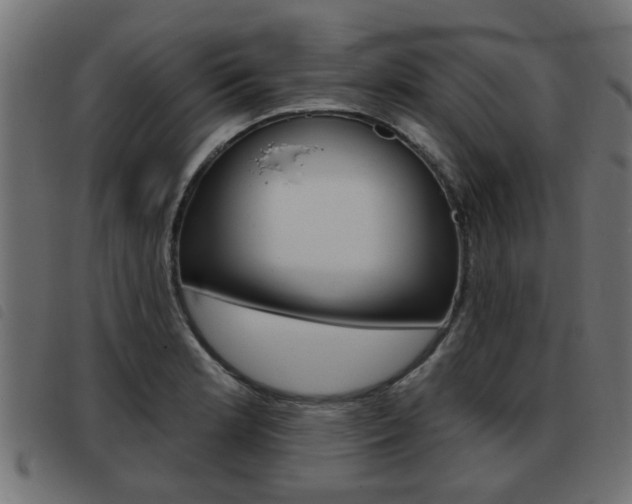 X0000093421181200710120850