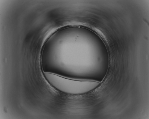 X0000093421183200710120850