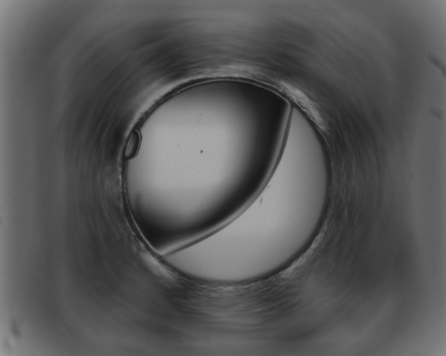 X0000093421184200710120850