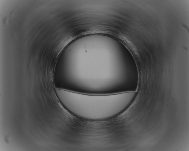 X0000093421185200710120850