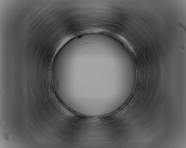 X0000093421186200710120850