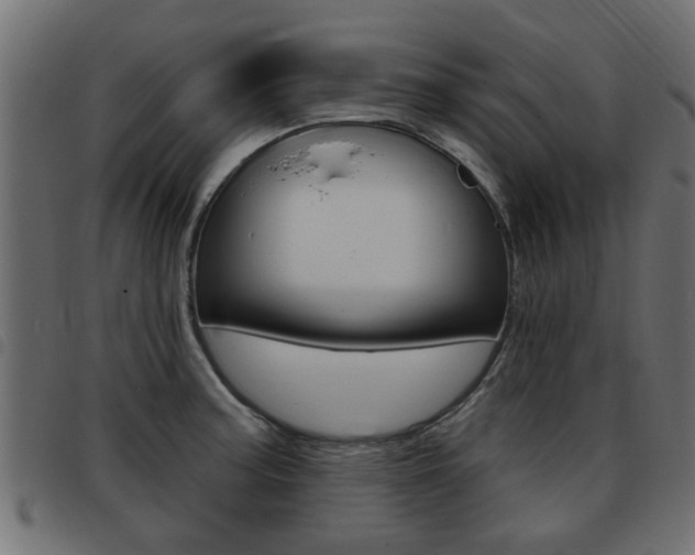 X0000093421187200710120850