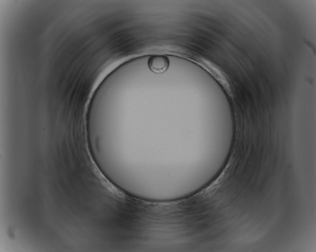 X0000093421192200710120850