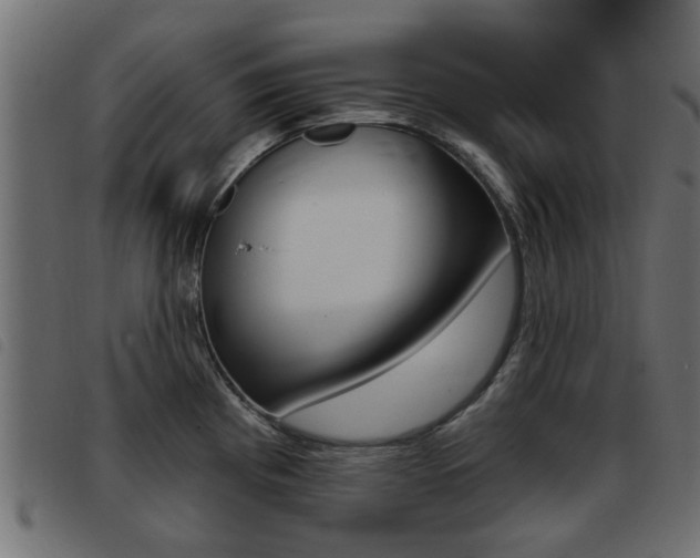 X0000093421193200710120850