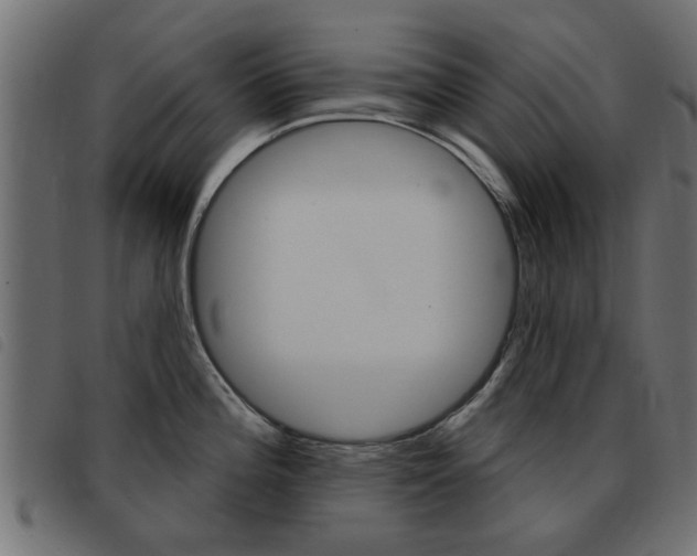 X0000093421196200710120850