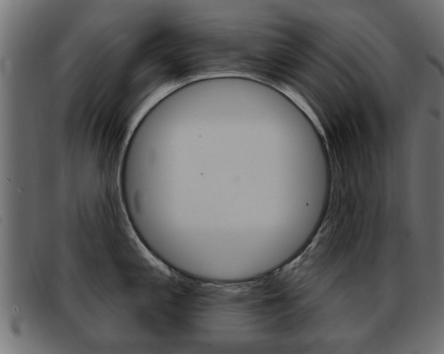 X0000093421197200710120850