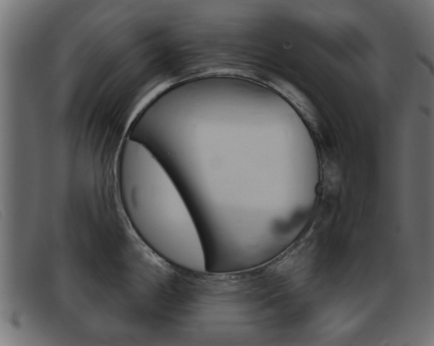 X0000093421198200710120850