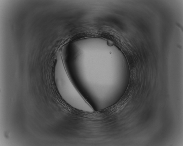 X0000093421201200710120849