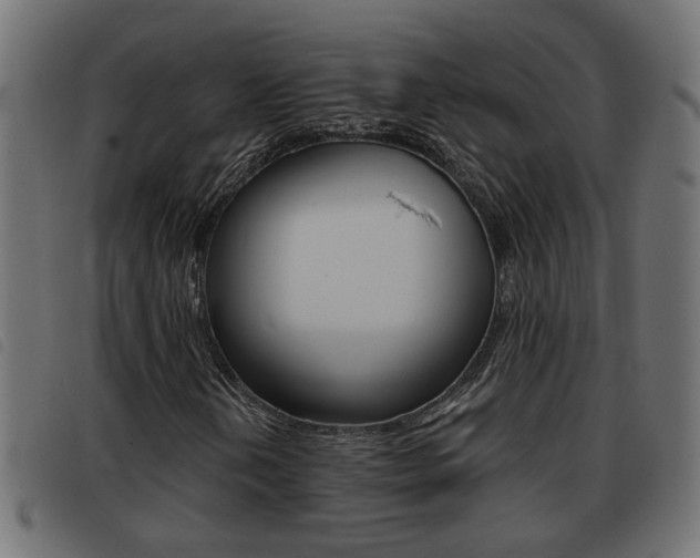 X0000093421202200710120849
