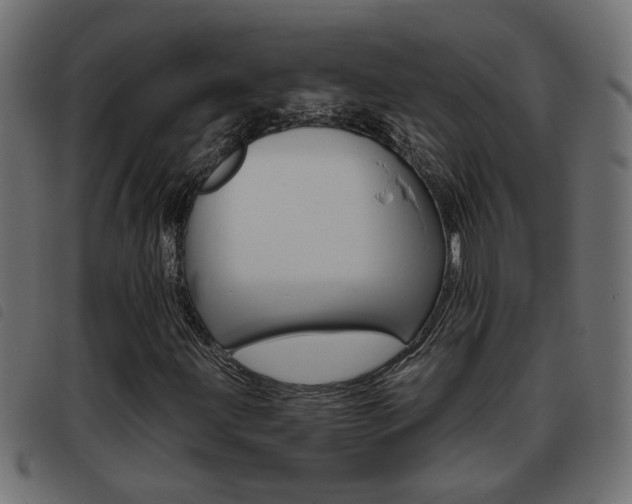 X0000093421203200710120849