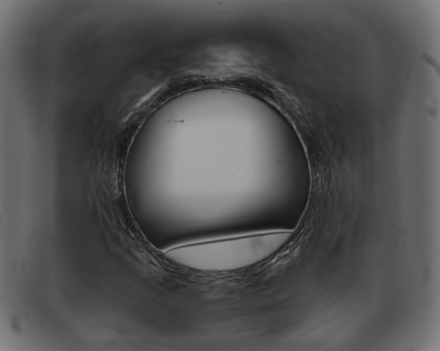 X0000093421205200710120849